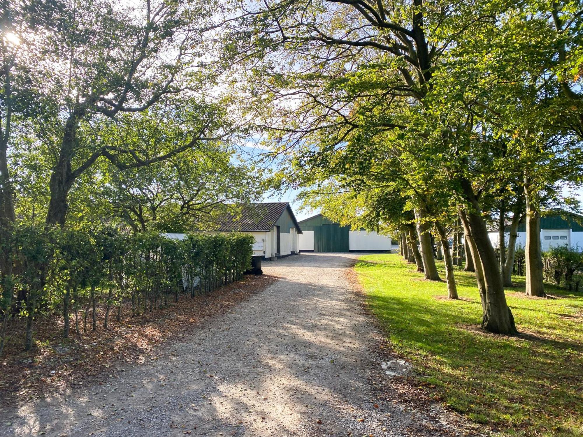 Country Flat In Beautiful Nature Appartement Gadstrup